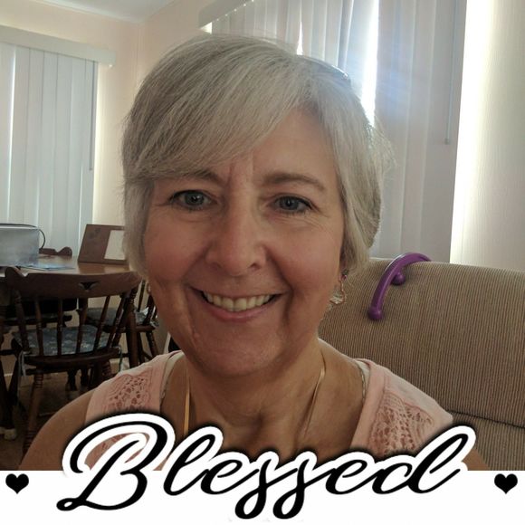 Meet your Posher, Sylvia - Picture 1 of 1